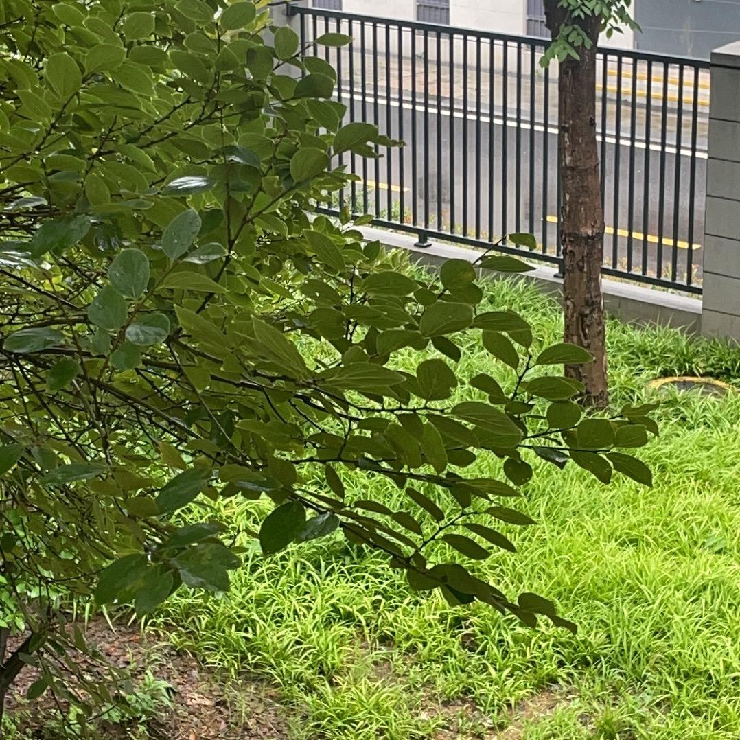 林老师讲亲子关系实战经验