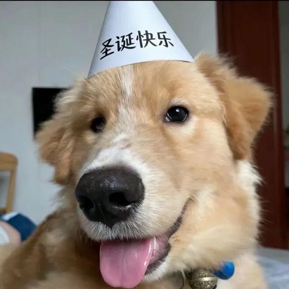 够派