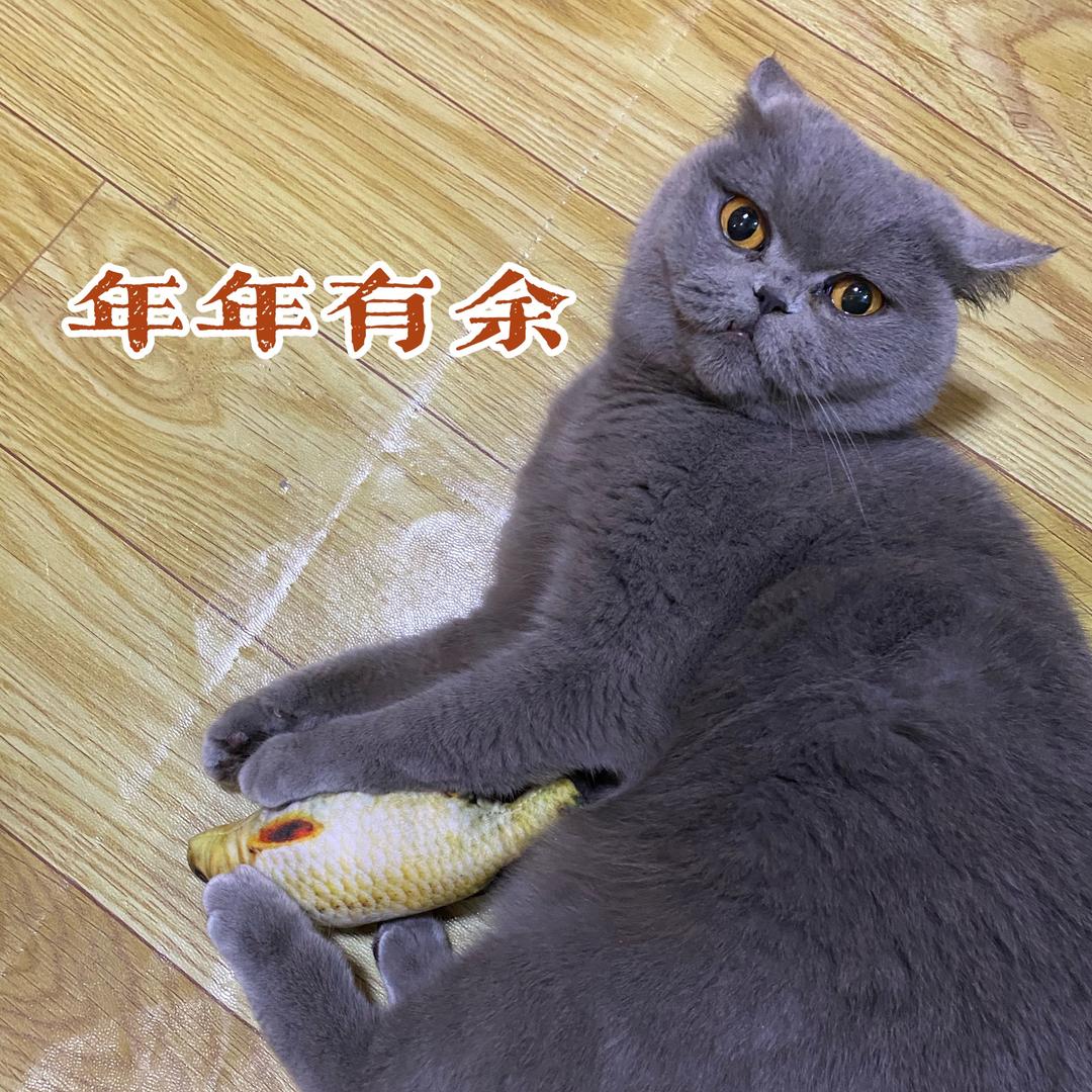 🍀 是洛书Baby呀🌺🌼