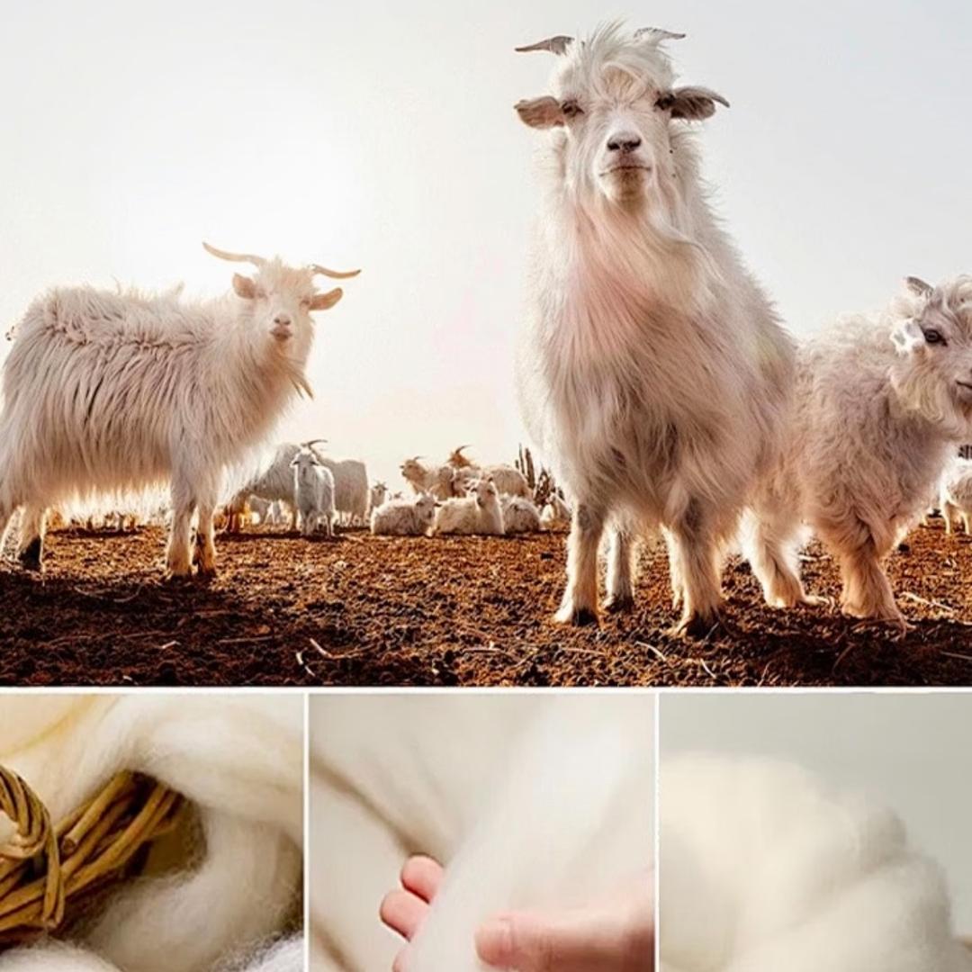 Glamour（工厂店）