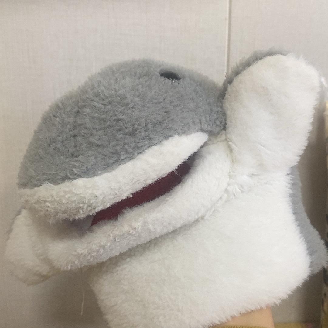 一只鱼