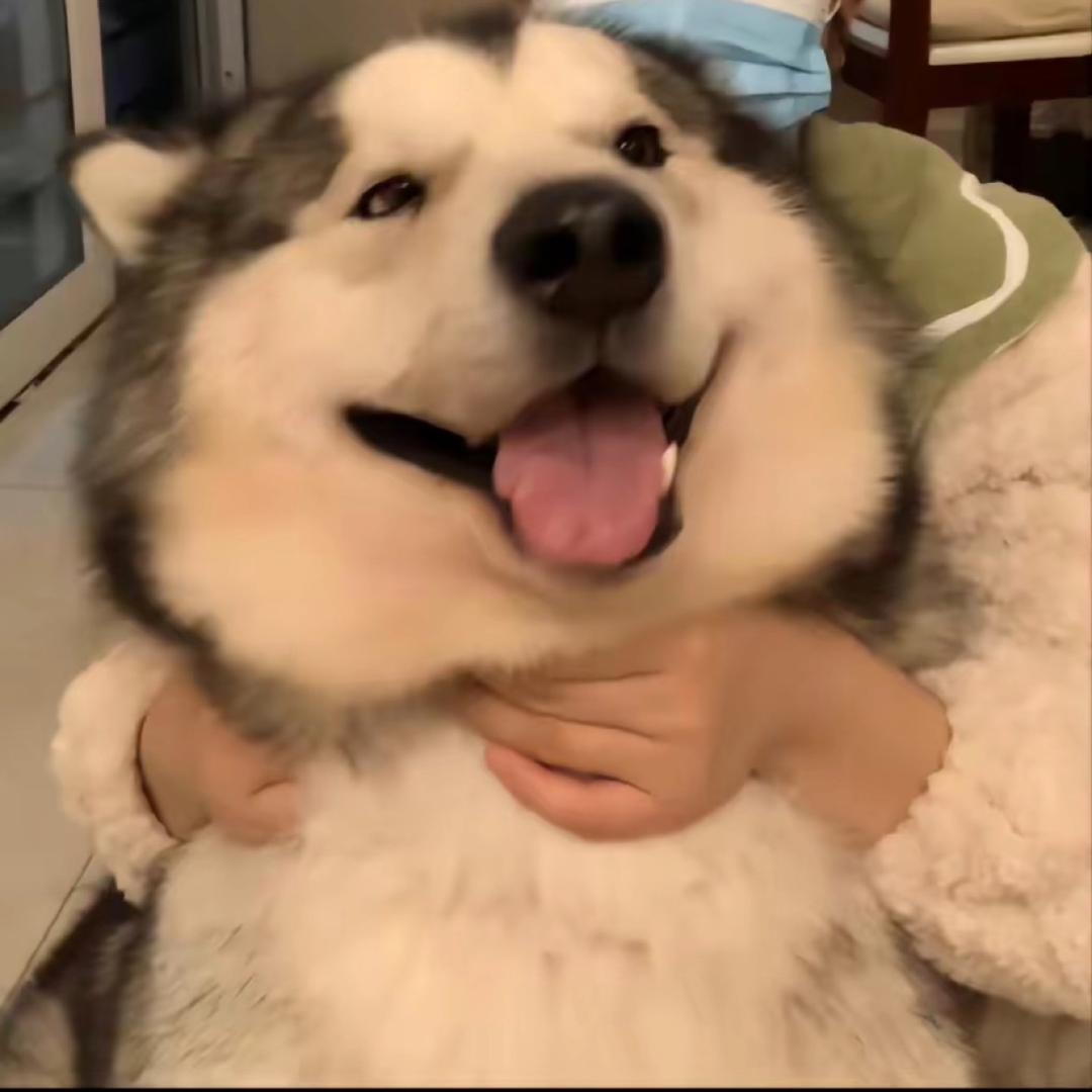 kkaxx