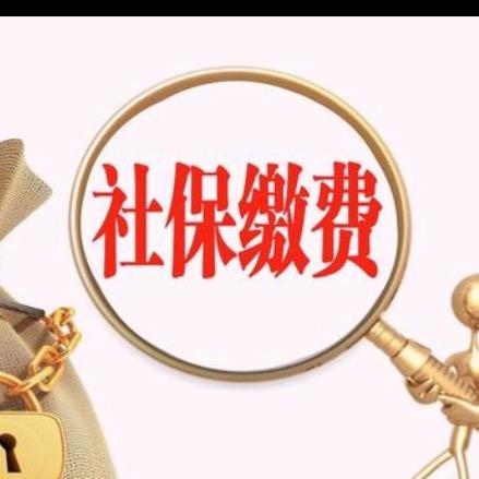 社保早知道