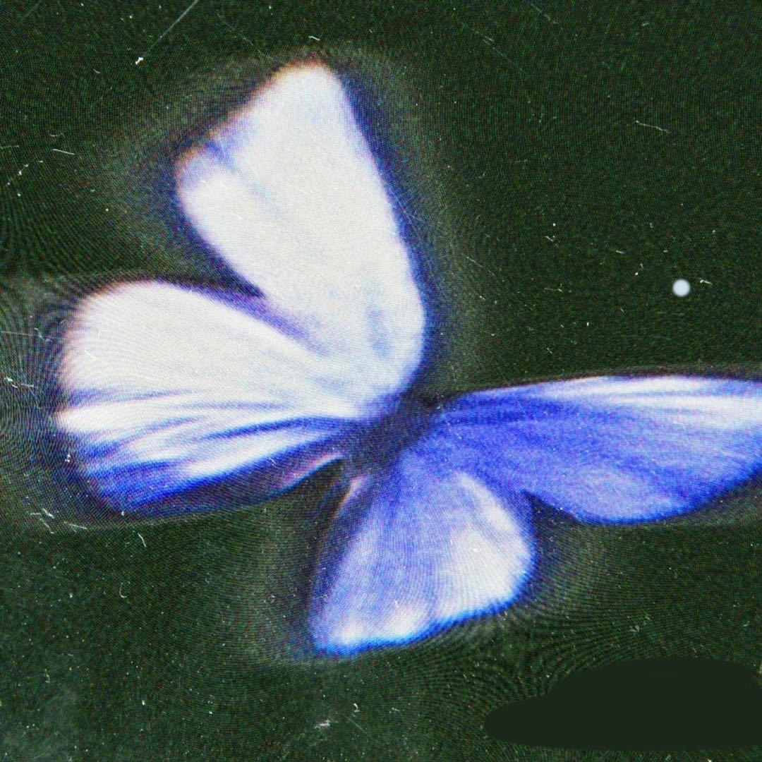 -桃浦奈尼