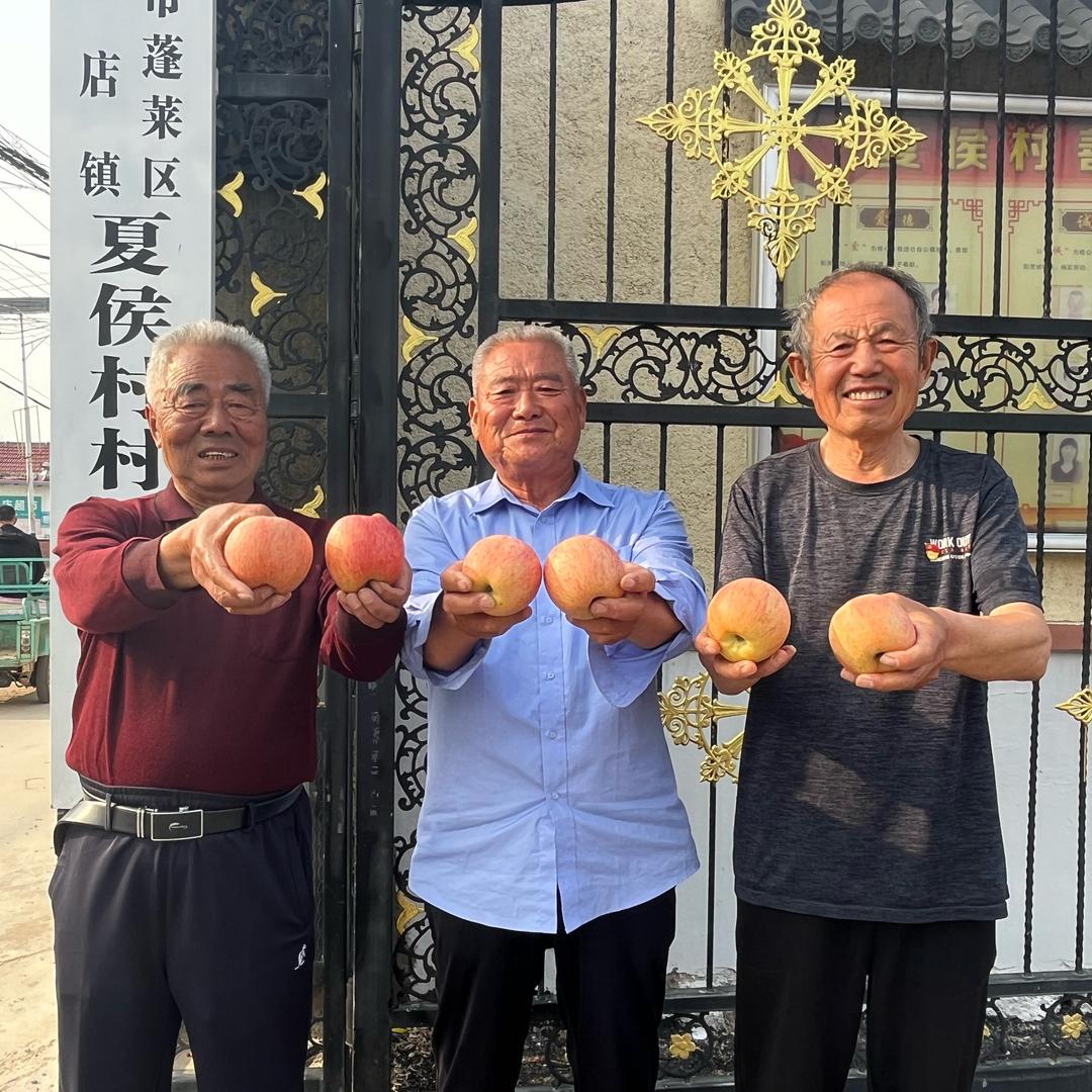 夏侯村老书记