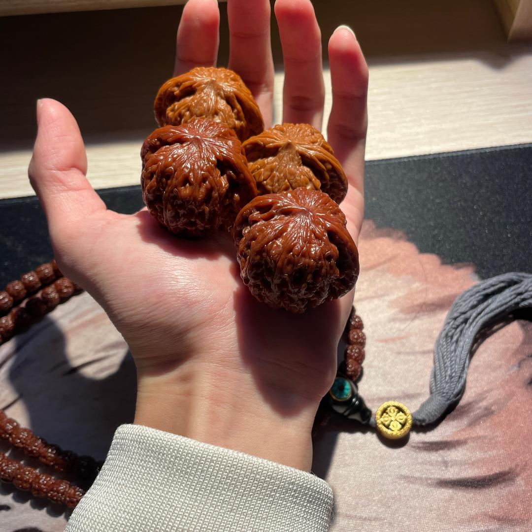 核桃臭狗（专注精品）