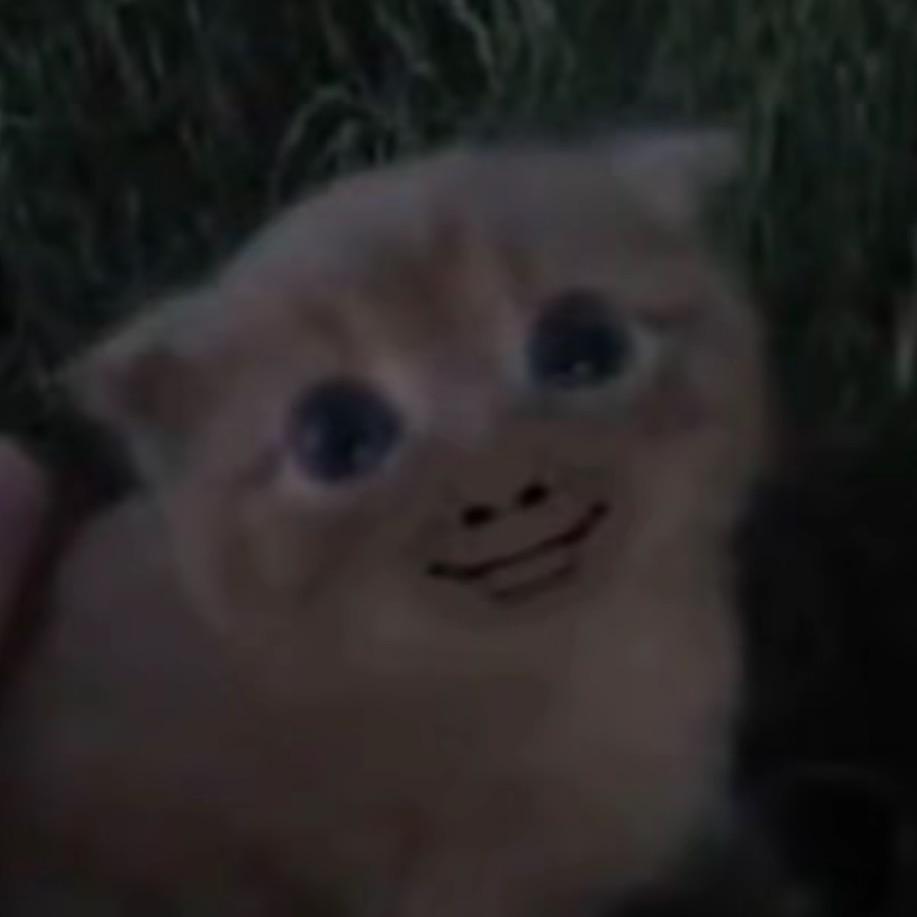 你看我像真爱粉吗？