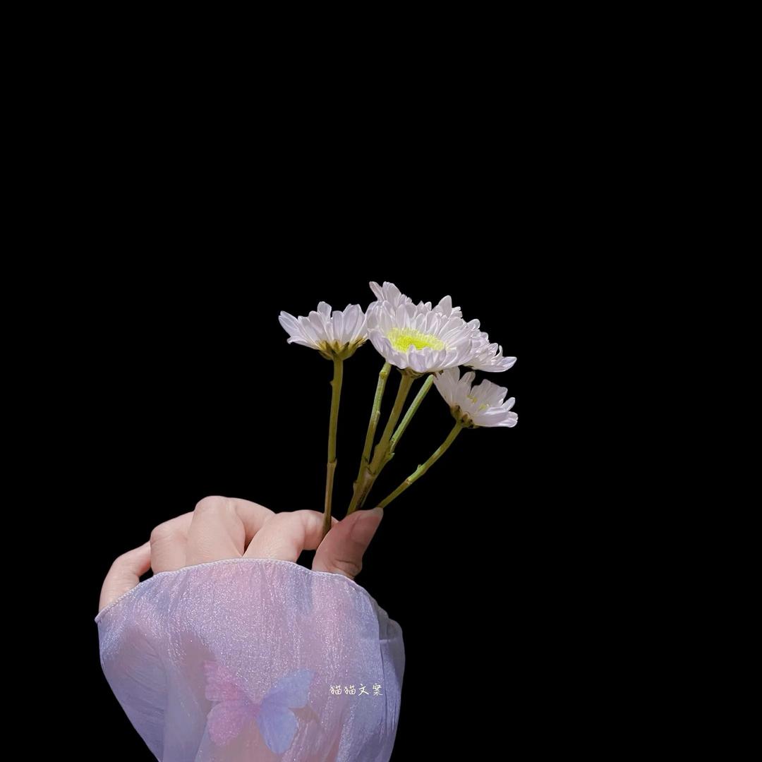 雾🌫️会散，花🌸终究会落