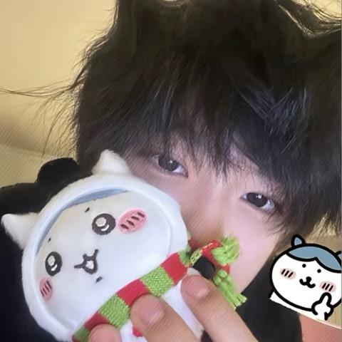我想我的猫