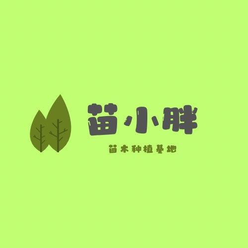 苗小胖（树果苗）基地