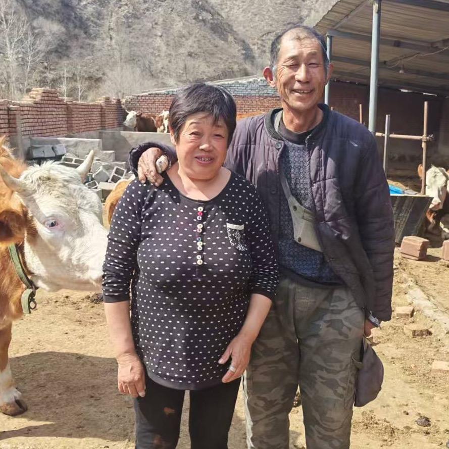 财财芹芹和牛羊日常