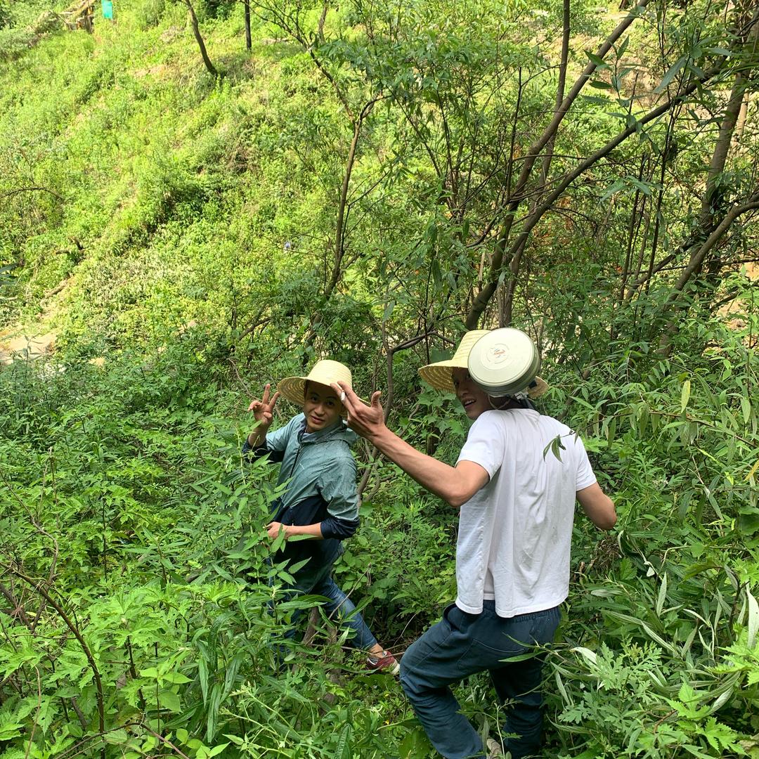 青城山后.小舍