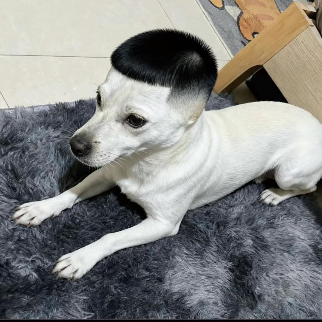 不懂浪漫的农村人