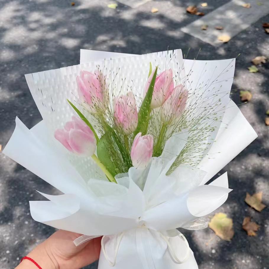 $梦想家的未来$