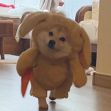 每天都很困：（