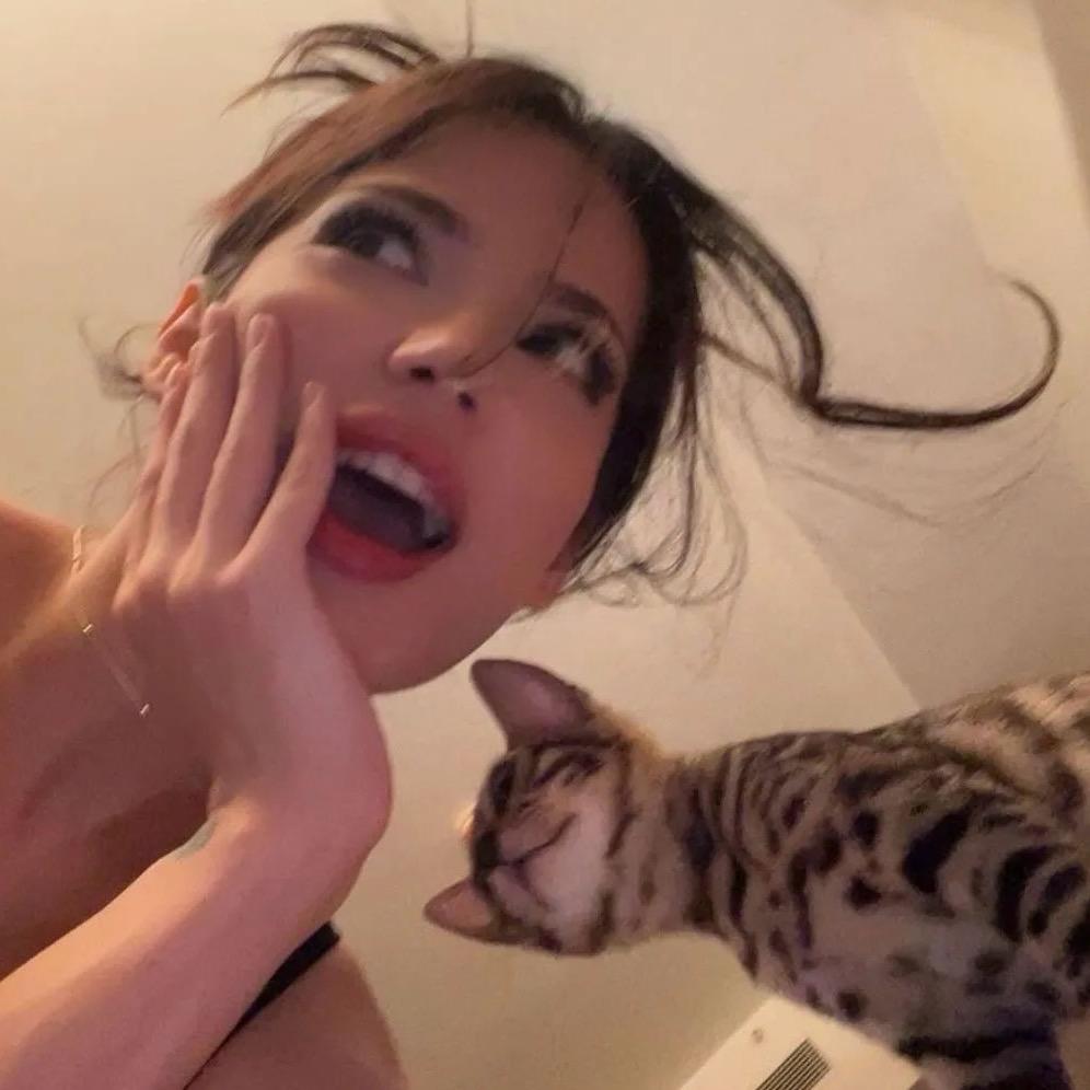 “是”香香🐾