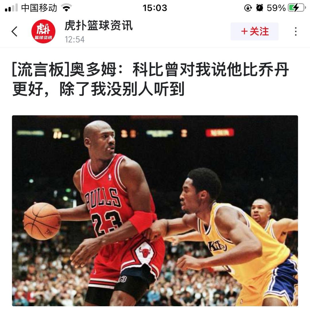 铁棺鹰