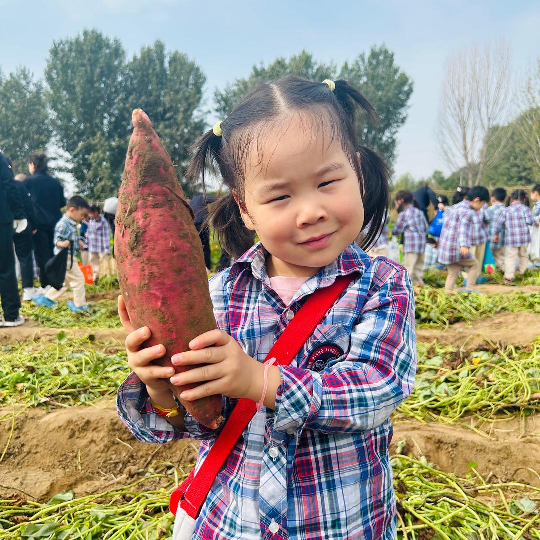 绽放的花蕊