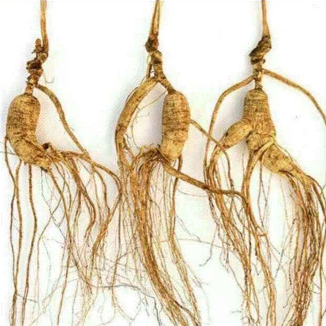 航帆御品堂滋补好物