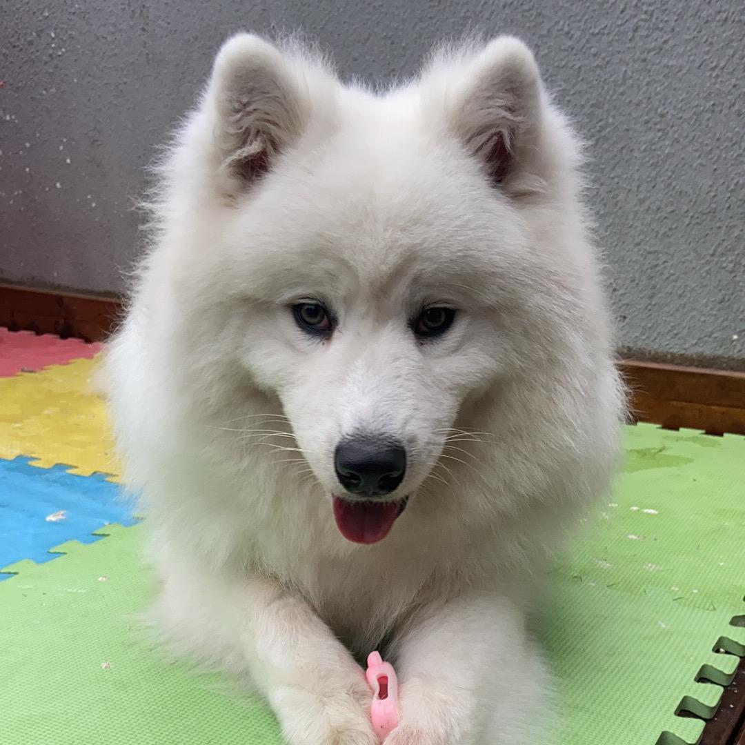 来势