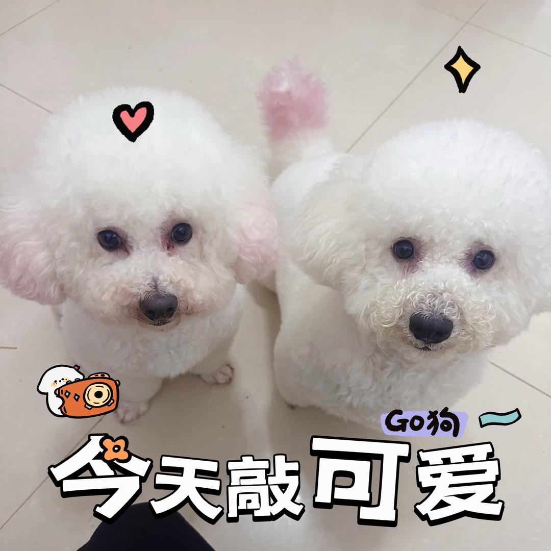 叶子จุ๊บ