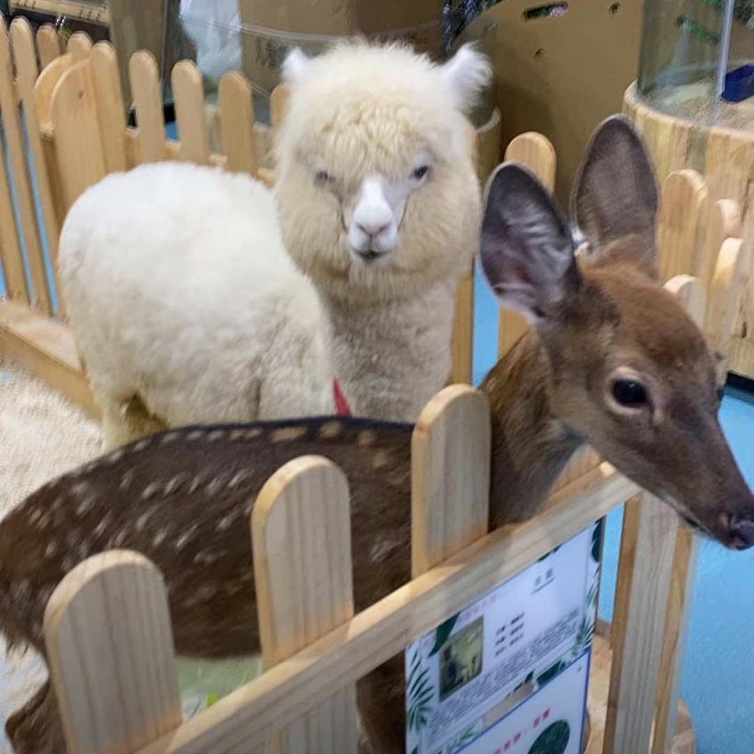 熊多尼自然探险乐园