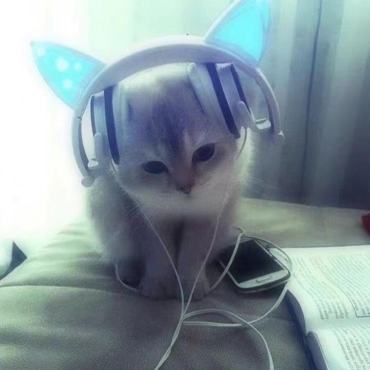 流鼻涕的粉色小猪