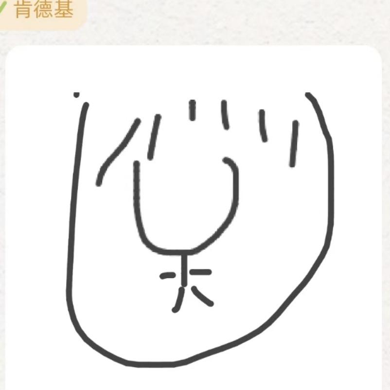 豌豆