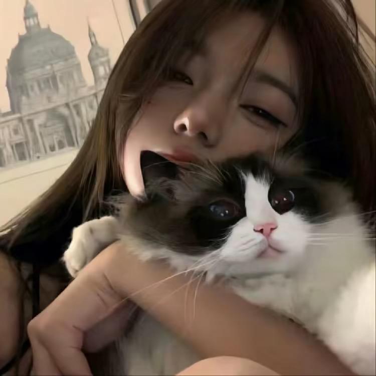 愿-