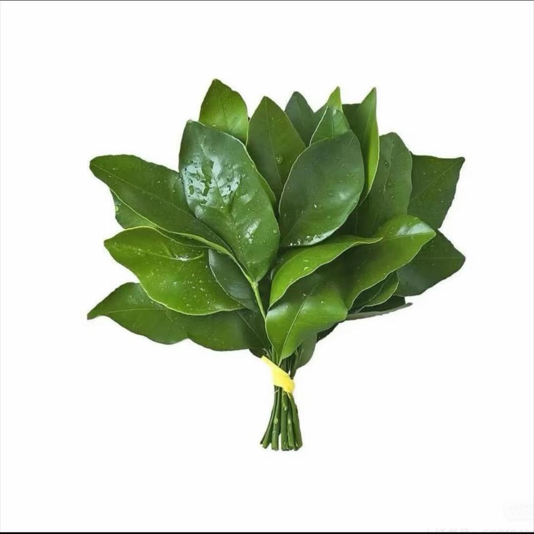 萨琪拉不姓萨