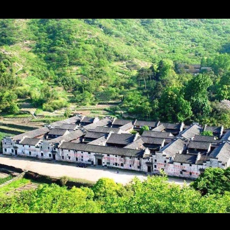 只看不刷