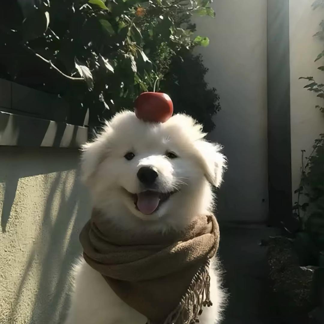 藏诗雨.