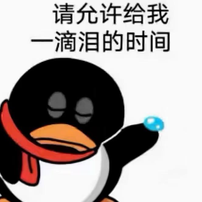 红烧牛又面