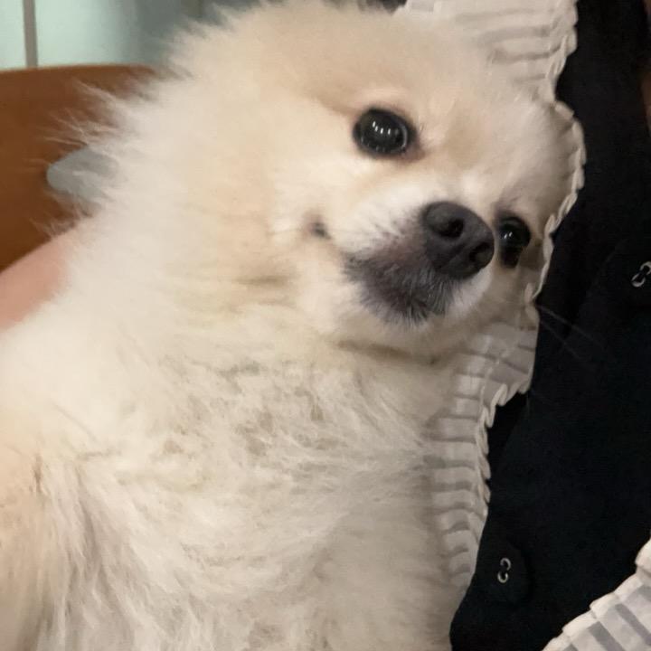 🫠