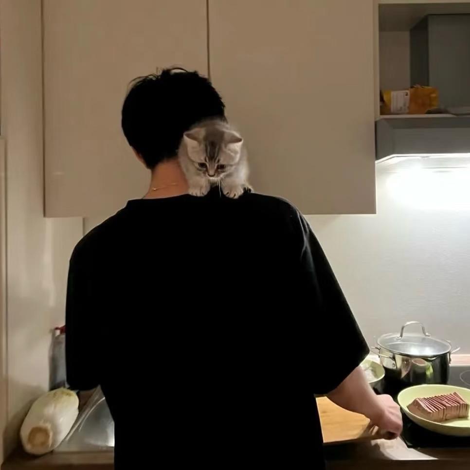 依然特犯困.