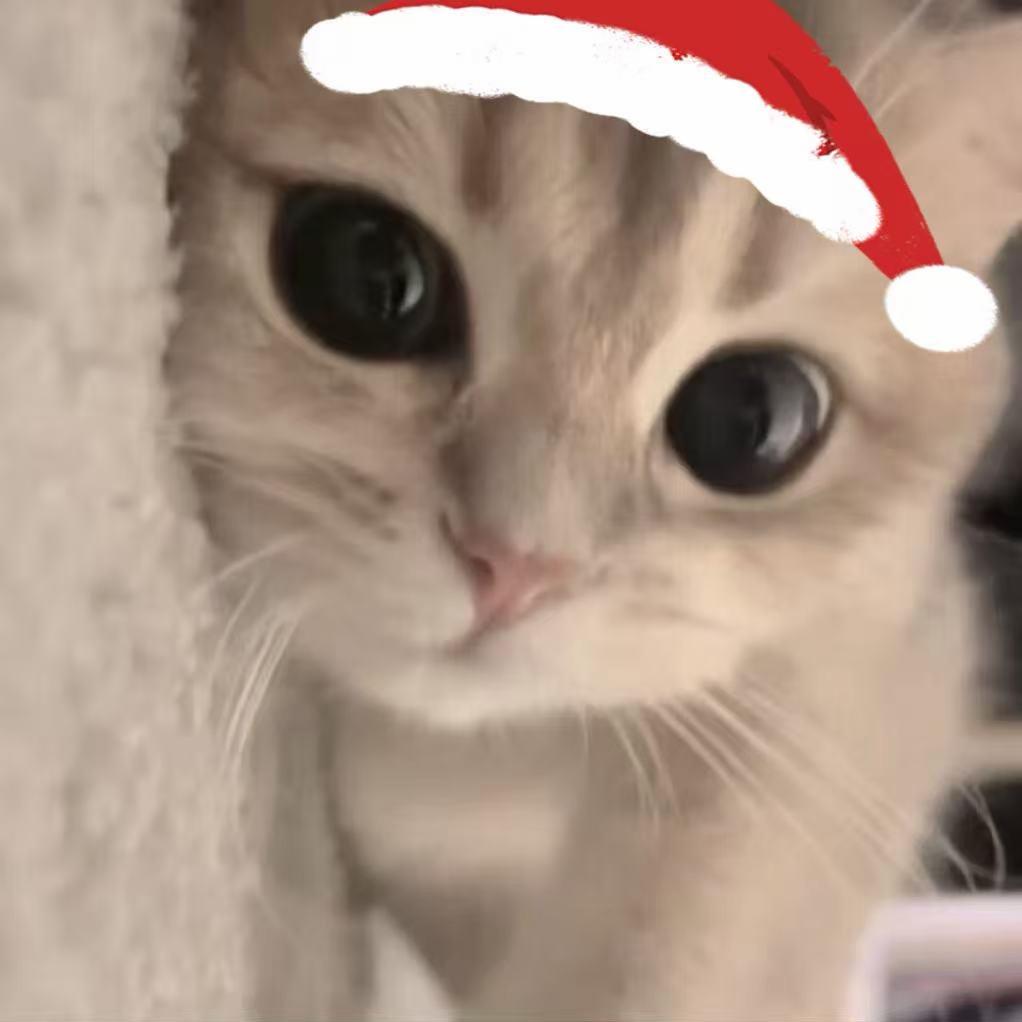 小琦公主