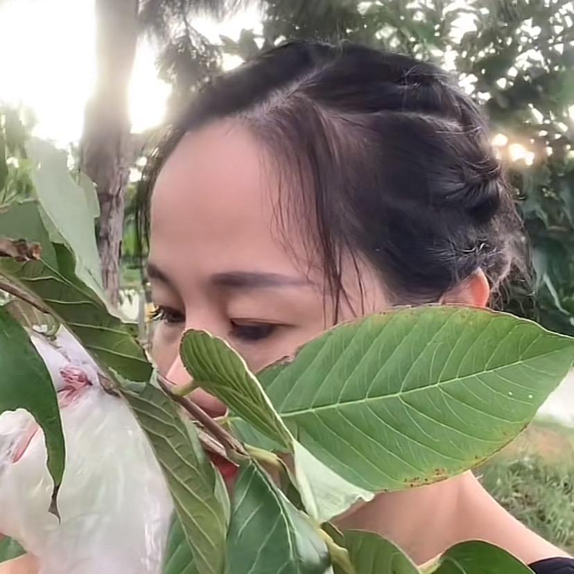 叶子🍃🍃🍃