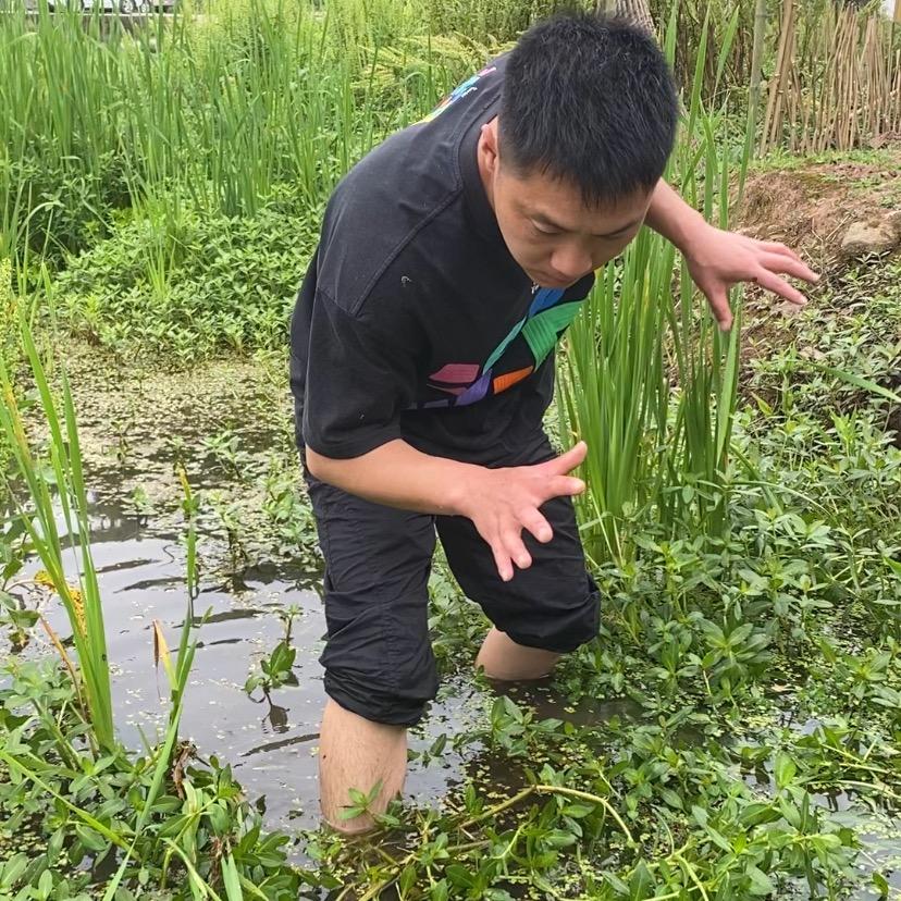 农村小张张
