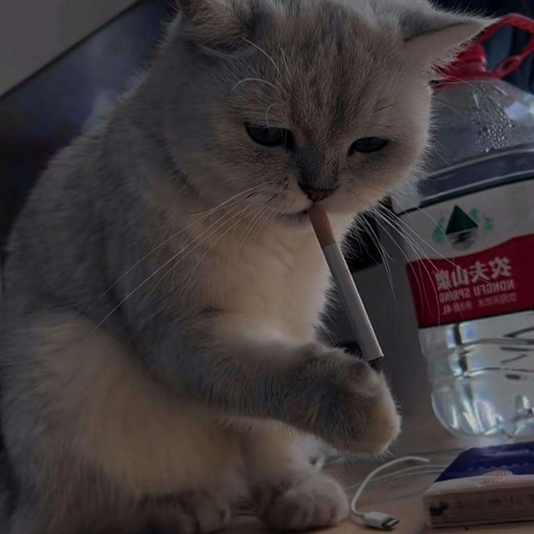 月光