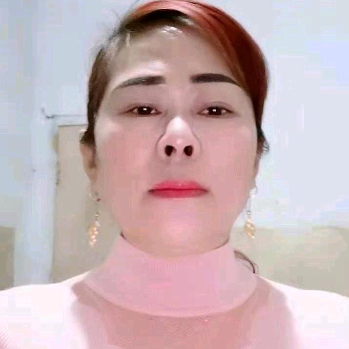 小夜猫