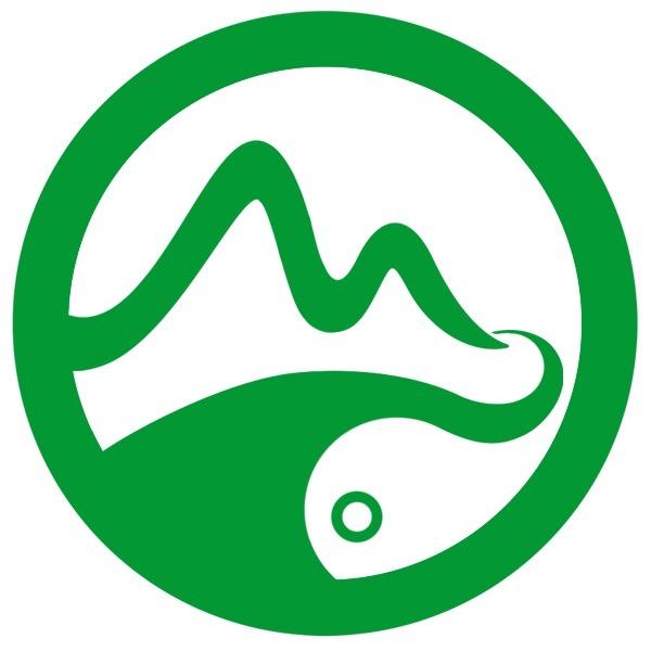 石生缘翡翠小杨鉴赏