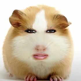 猪妞降世（旺仔猪妞）