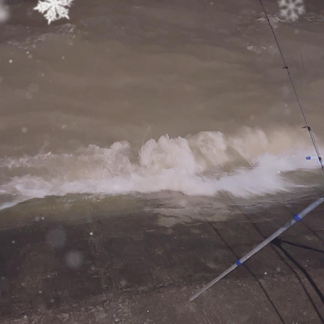 风浪越大鱼跃大