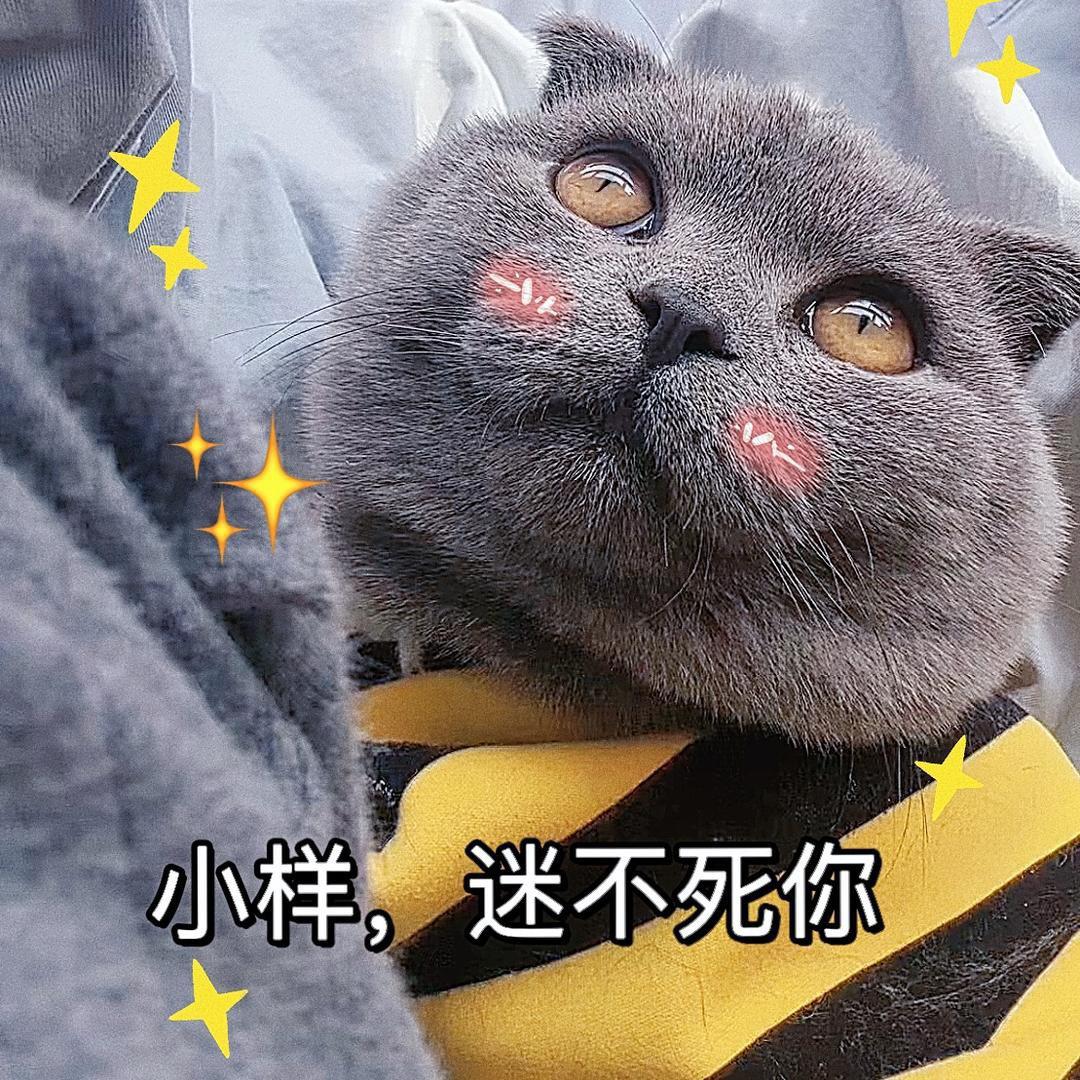 冰可乐