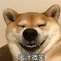 爱睡觉的大黄