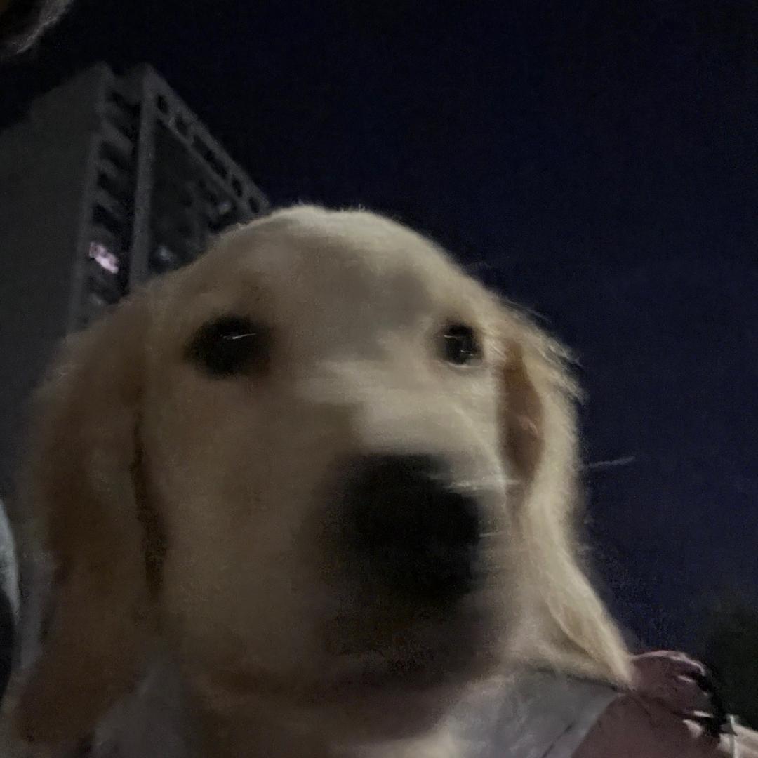 饭盆有点闹