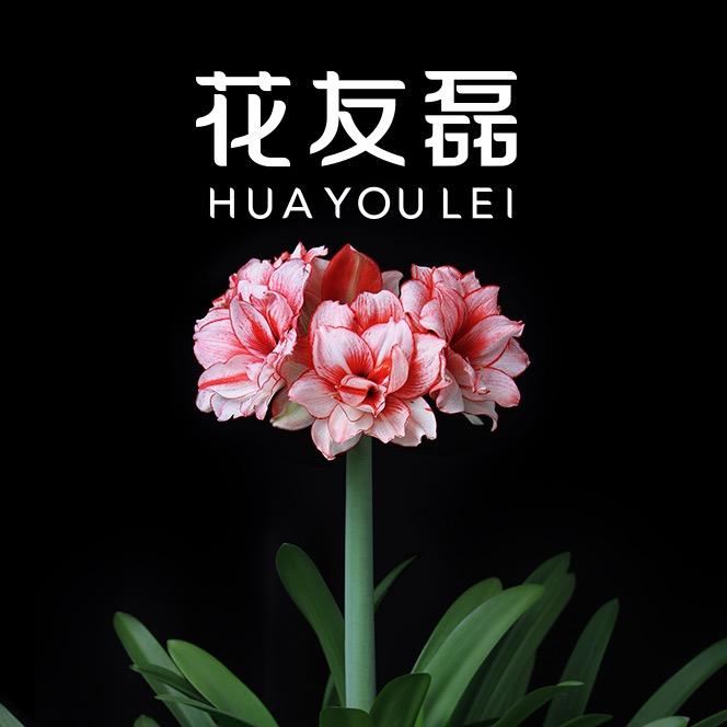 北京花友磊