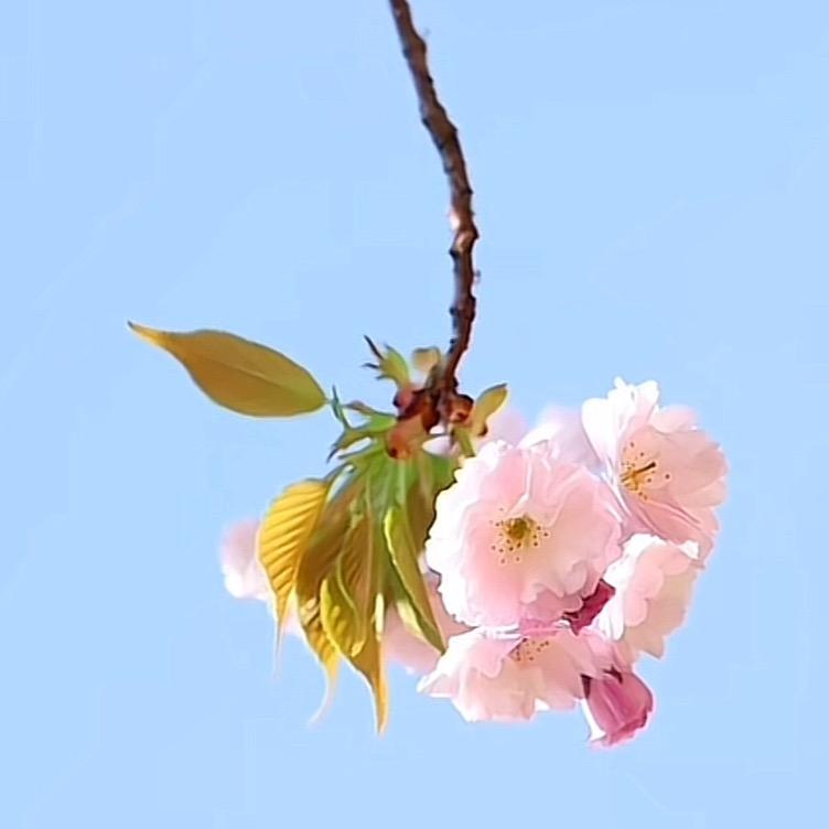 锦绣布艺馆