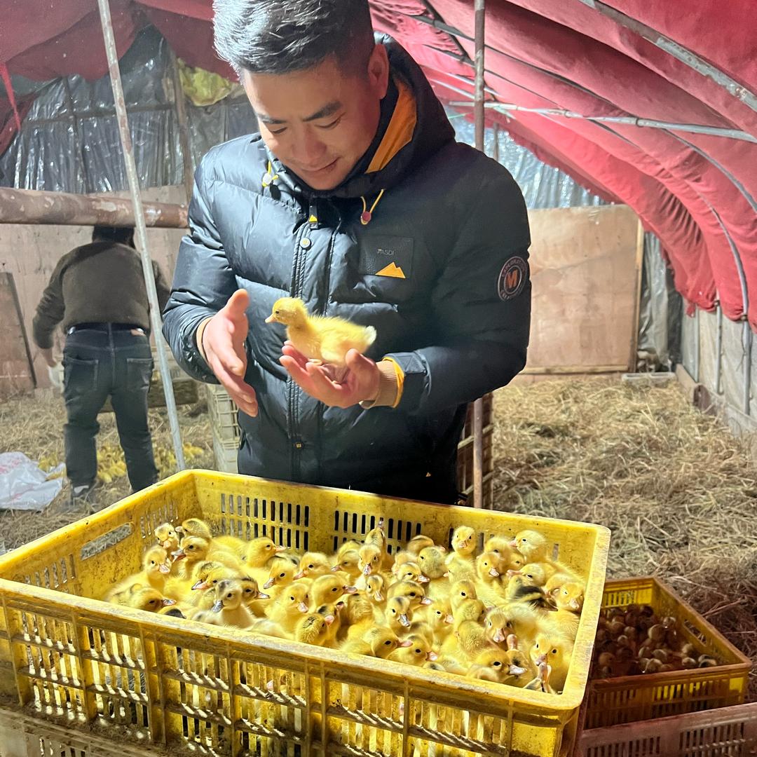 马哥行天下@抖音