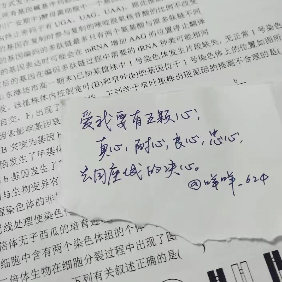 咩咩下划线六二四